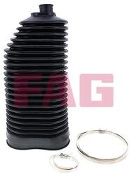 Fag Ansamblu burduf, directie FAG 841 0196 30 (841 0196 30)