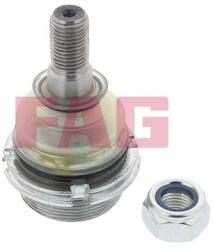 Fag Articulatie sarcina/ghidare FAG 825 0256 10 (825 0256 10)