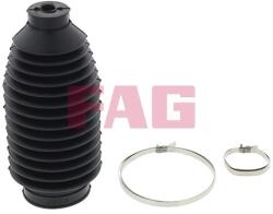 Fag Ansamblu burduf, directie FAG 841 0018 30 (841 0018 30)