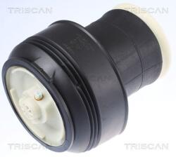 TRISCAN Arc pneumatic, directie TRISCAN 8720 11203 (8720 11203)