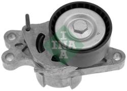 INA Intinzator curea, curea distributie INA 534 0179 10 (534 0179 10)
