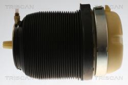 TRISCAN Arc pneumatic, directie TRISCAN 8720 29202 (8720 29202)