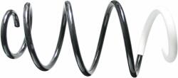 SACHS Arc spiral SACHS 993 301 (993 301) - fixbox