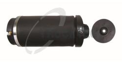 Trucktec Automotive Arc pneumatic, directie TRUCKTEC AUTOMOTIVE 02.30. 384 (02.30.384)