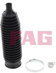 Fag Ansamblu burduf, directie FAG 841 0216 30 (841 0216 30)