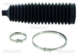 TRISCAN Ansamblu burduf, directie TRISCAN 8500 24029 (8500 24029)