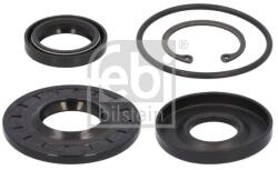 Febi Bilstein Set garnituri, caracsa directie FEBI BILSTEIN 104680 (104680)