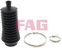 Fag Ansamblu burduf, directie FAG 841 0048 30 (841 0048 30)