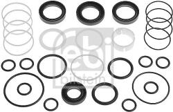 Febi Bilstein Set garnituri, caracsa directie FEBI BILSTEIN 12308 (12308)