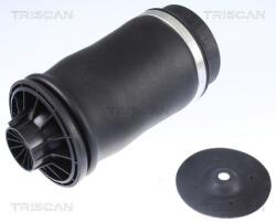 TRISCAN Arc pneumatic, directie TRISCAN 8720 23204 (8720 23204)