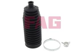 Fag Ansamblu burduf, directie FAG 841 0202 30 (841 0202 30)