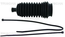 TRISCAN Ansamblu burduf, directie TRISCAN 8500 10022 (8500 10022)
