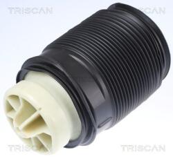 TRISCAN Arc pneumatic, directie TRISCAN 8720 23202 (8720 23202)