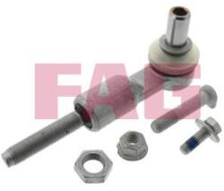 Fag Cap de bara FAG 840 1006 10 (840 1006 10)