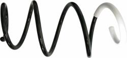 SACHS Arc spiral SACHS 993 998 (993 998) - fixbox