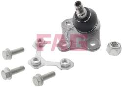 Fag Articulatie sarcina/ghidare FAG 825 0173 10 (825 0173 10)