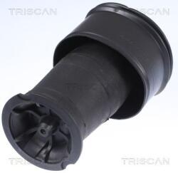 TRISCAN Arc pneumatic, directie TRISCAN 8720 38201 (8720 38201)