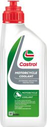 Castrol Antigel CASTROL 160BAC
