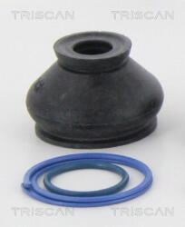 TRISCAN Ansamblu burduf, directie TRISCAN 8501 2510 (8501 2510)