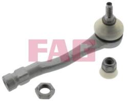 Fag Cap de bara FAG 840 1017 10 (840 1017 10)