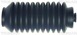 TRISCAN Ansamblu burduf, directie TRISCAN 8500 13071 (8500 13071)