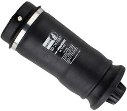 BILSTEIN Arc pneumatic, directie BILSTEIN 40-247687 (40-247687)