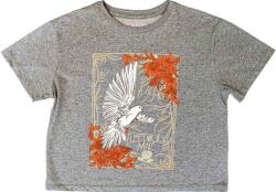 Fleetwood Mac Dove Grey L Női Ing (FMCT07LG03)