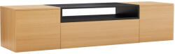 Invicta Comoda TV LOFT 160 cm suspendat, negru natural (47808)