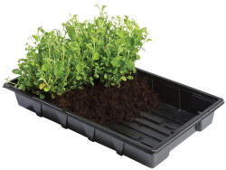  Garland Seed vékonyfalú tálca cserépalátét 5 db 37x23, 5x5 cm