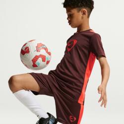 Nike Academy+ S | Unisex | Pantaloni scurți | Roșu | IO7320-658