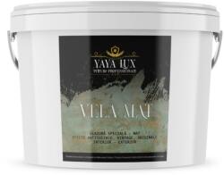 Torodecor Lac protectiv mat, Vela Mat transparent, monocomponent, 2, 5 L (VM25001)