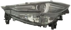 DEPO Far Depo 216-1179R-LEAM2 (216-1179R-LEAM2) - automobilus