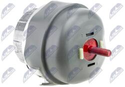 NTY Suport motor NTY ZPS-AU-009 (ZPS-AU-009)