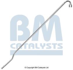 Bm Catalysts Conducta de presiune, senzor de presiune (filtru particule) BM CATALYSTS PP11027A (PP11027A)