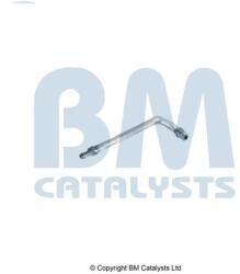 Bm Catalysts Conducta de presiune, senzor de presiune (filtru particule) BM CATALYSTS PP11607B (PP11607B)