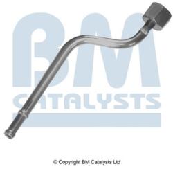 Bm Catalysts Conducta de presiune, senzor de presiune (filtru particule) BM CATALYSTS PP11024A (PP11024A)