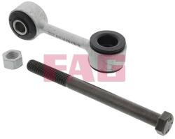 Fag Brat/bieleta suspensie, stabilizator FAG 818 0198 10 (818 0198 10)