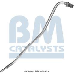 Bm Catalysts Conducta de presiune, senzor de presiune (filtru particule) BM CATALYSTS PP11179A (PP11179A)