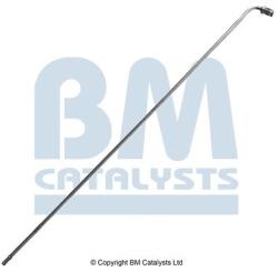 Bm Catalysts Conducta de presiune, senzor de presiune (filtru particule) BM CATALYSTS PP31037A (PP31037A)