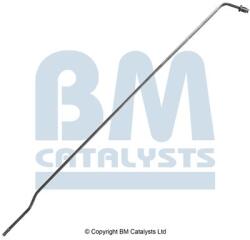 Bm Catalysts Conducta de presiune, senzor de presiune (filtru particule) BM CATALYSTS PP31042A (PP31042A)