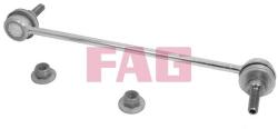 Fag Brat/bieleta suspensie, stabilizator FAG 818 0481 10 (818 0481 10)