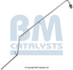 Bm Catalysts Conducta de presiune, senzor de presiune (filtru particule) BM CATALYSTS PP11137A (PP11137A)