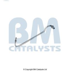 Bm Catalysts Conducta de presiune, senzor de presiune (filtru particule) BM CATALYSTS PP11607A (PP11607A)