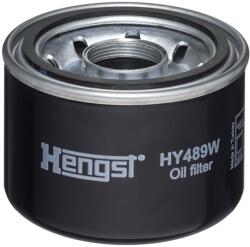 Hengst Filter Filtru, sistem hidraulic primar HENGST FILTER HY489W (HY489W)