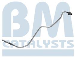 Bm Catalysts Conducta de presiune, senzor de presiune (filtru particule) BM CATALYSTS PP15132B (PP15132B)