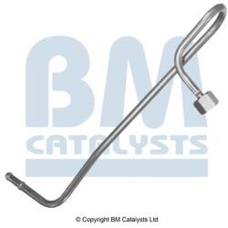 Bm Catalysts Conducta de presiune, senzor de presiune (filtru particule) BM CATALYSTS PP11016A (PP11016A)