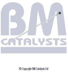 Bm Catalysts Conducta de presiune, senzor de presiune (filtru particule) BM CATALYSTS PP11174A (PP11174A)