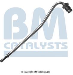 Bm Catalysts Conducta de presiune, senzor de presiune (filtru particule) BM CATALYSTS PP31021A (PP31021A)
