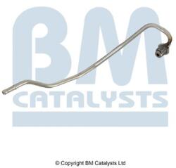 Bm Catalysts Conducta de presiune, senzor de presiune (filtru particule) BM CATALYSTS PP15020A (PP15020A)
