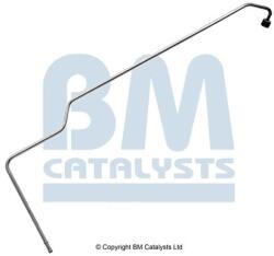 Bm Catalysts Conducta de presiune, senzor de presiune (filtru particule) BM CATALYSTS PP11099B (PP11099B)